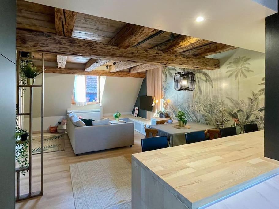 L'Eden Du Vignoble - Centre Historique De Barr Apartment ภายนอก รูปภาพ