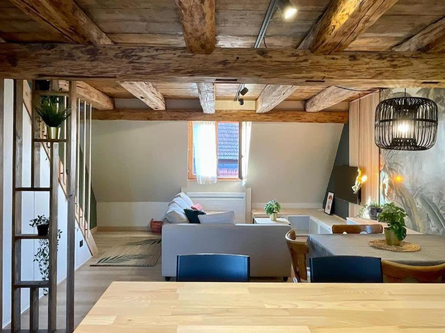 L'Eden Du Vignoble - Centre Historique De Barr Apartment ภายนอก รูปภาพ