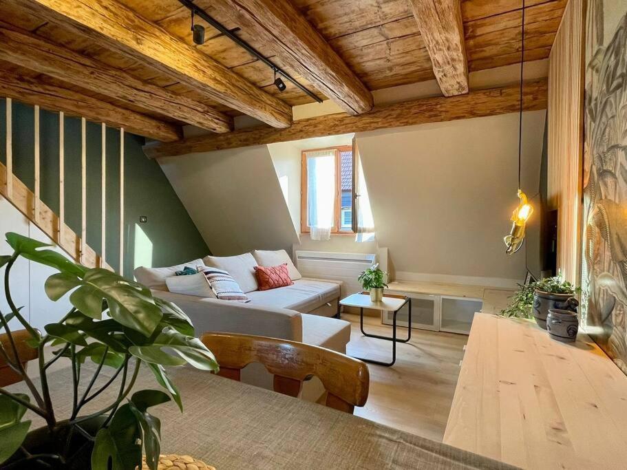 L'Eden Du Vignoble - Centre Historique De Barr Apartment ภายนอก รูปภาพ